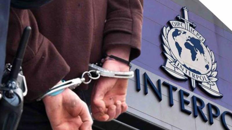  صدرت في حق سياسيين..رجال أعمال..وشخصيات نافذة:   بطاقات الجلب الدولية بين حقيقة الإصدار..و"وهم" التنفيذ